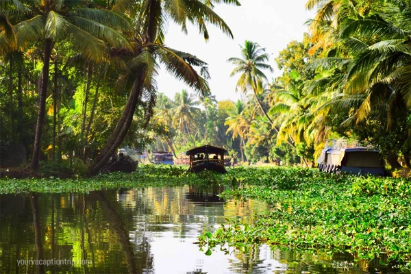 Best Places To Visit In Kerala (Timing, Fees, Location)