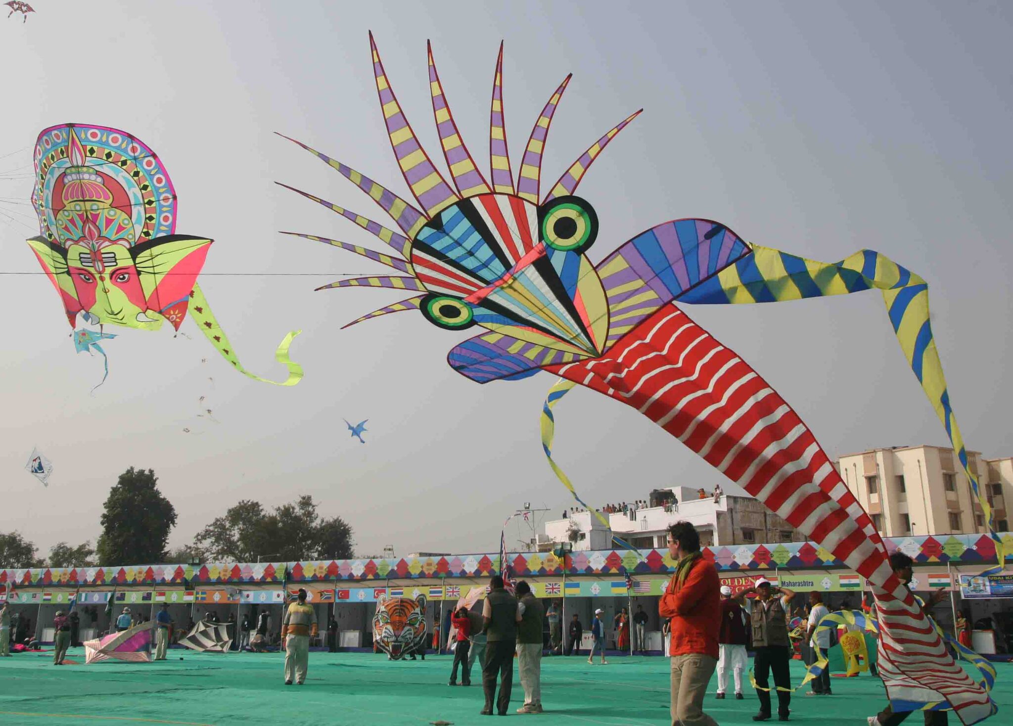 International Kite Festival Ahmedabad A Celebration in the Skies